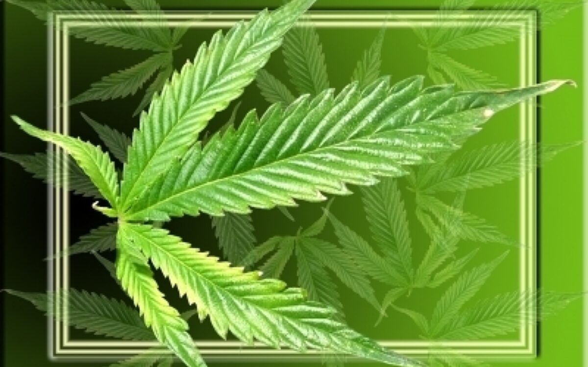 Cannabis Kokopelli pixelio Cannabis Kokopelli pixelio